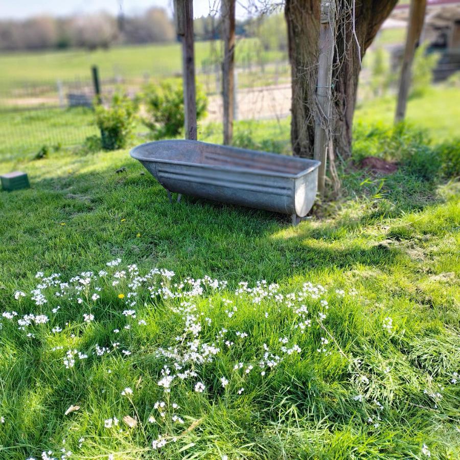 V I O L E T T E La Souris Des Champs Lägenhet Étival-Clairefontaine Exteriör bild